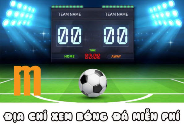 11mtv - Website xem trực tiếp bóng đá hàng đầu Việt Nam - Ảnh 5