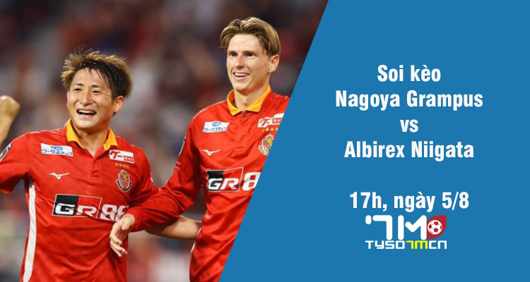 Soi kèo Nagoya Grampus vs Albirex Niigata, 17h ngày 5/8 - Ảnh 1