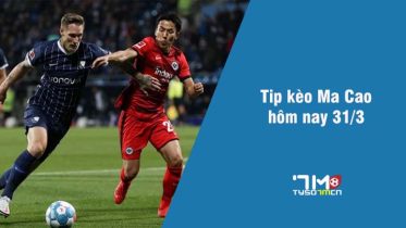 Dự đoán Ma Cao 31/3 tyso7mcn